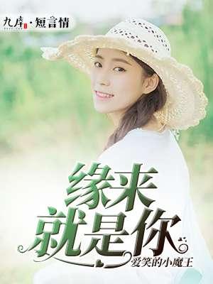 原来就是你免费观看电视剧第31集