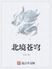 北境之主陈苍生笔趣阁