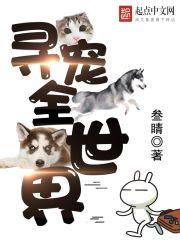 寻宠公司真假