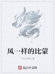 像风一样的下一句