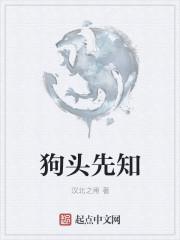 狗头技能介绍