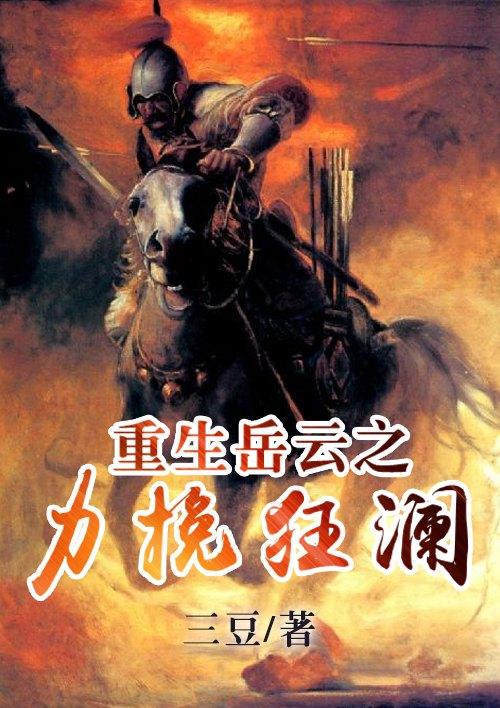 主角叫岳云的