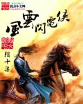 闪电侠100集