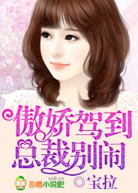 傲娇总裁别缠我