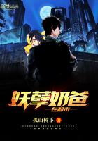 妖孽奶爸在都市之不道