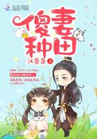傻妻作者