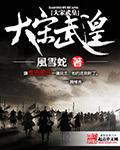 大宋武侯