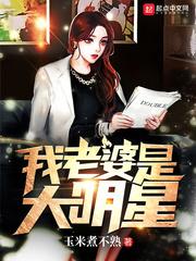 我老婆是大明星新书