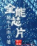 浙江 全能芯片