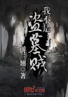 我不是盗墓贼秦风