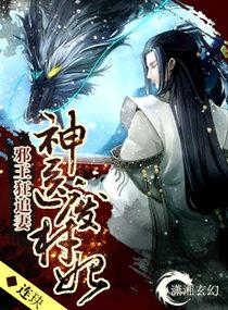 神医废材妃连玦番外txt