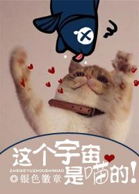 宇宙是个球