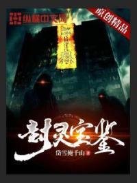 封灵档案技能介绍