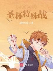fate系列圣杯