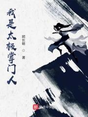 太极派掌门人