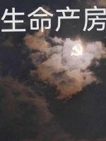 生命裨院