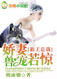 狼性总裁娇宠妻