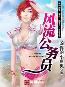 一位公务员的风流案