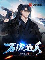 空姐背后有个二维码短剧