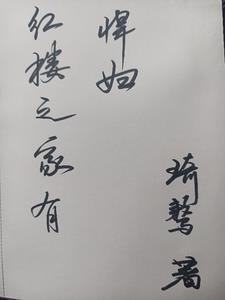 红楼之林家有子全文加番外