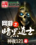 网游之黑暗道士怎么样