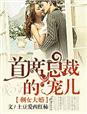 总裁的剩女妻
