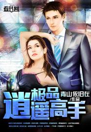 极品逍遥高手女主角