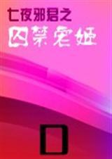 七夜宠姬全文免费阅读无广告