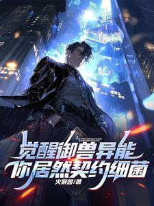 神级御兽等级划分