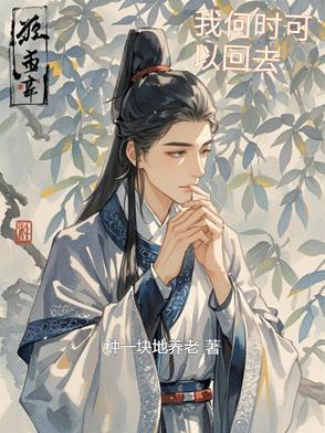 何时才能回到故乡是什么歌