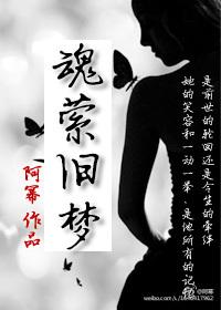 魂萦旧梦凤飞飞