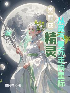 精灵觉醒主线攻略