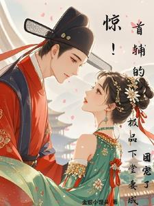 首辅娘子