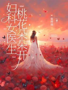 主角是妇科医生的连续剧