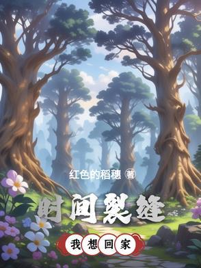 我想看时间裂缝