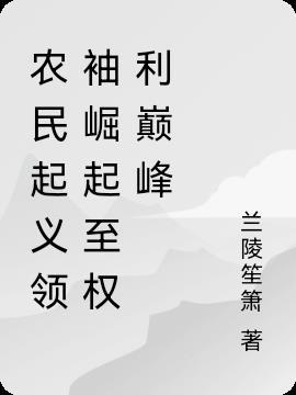 农民从政