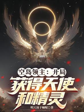 空岛大领主全本
