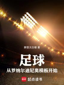 足球从罗纳尔迪尼奥模板开始TXT免费