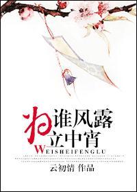 为谁风露立中宵bl