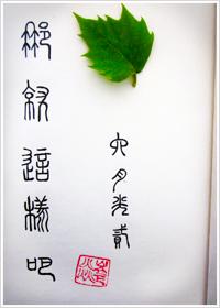 再爱就曲终人散了