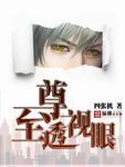 至尊透视眼零点