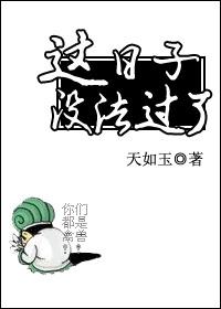 这日子没法过了讲的是什么