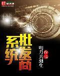 批发企业需具备什么独立系统?覆盖哪些过程?