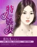 特攻人员