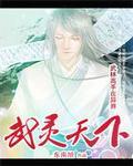 武灵天下元枫全集