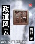 政道风云 免费阅读