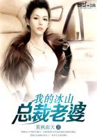 我的冰山总裁老婆杨心怡TXT