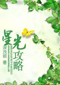 女神卷轴最后的星光攻略