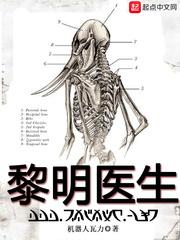 黎明医生多少字