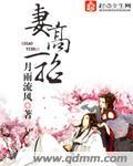 妻高一筹笔趣阁